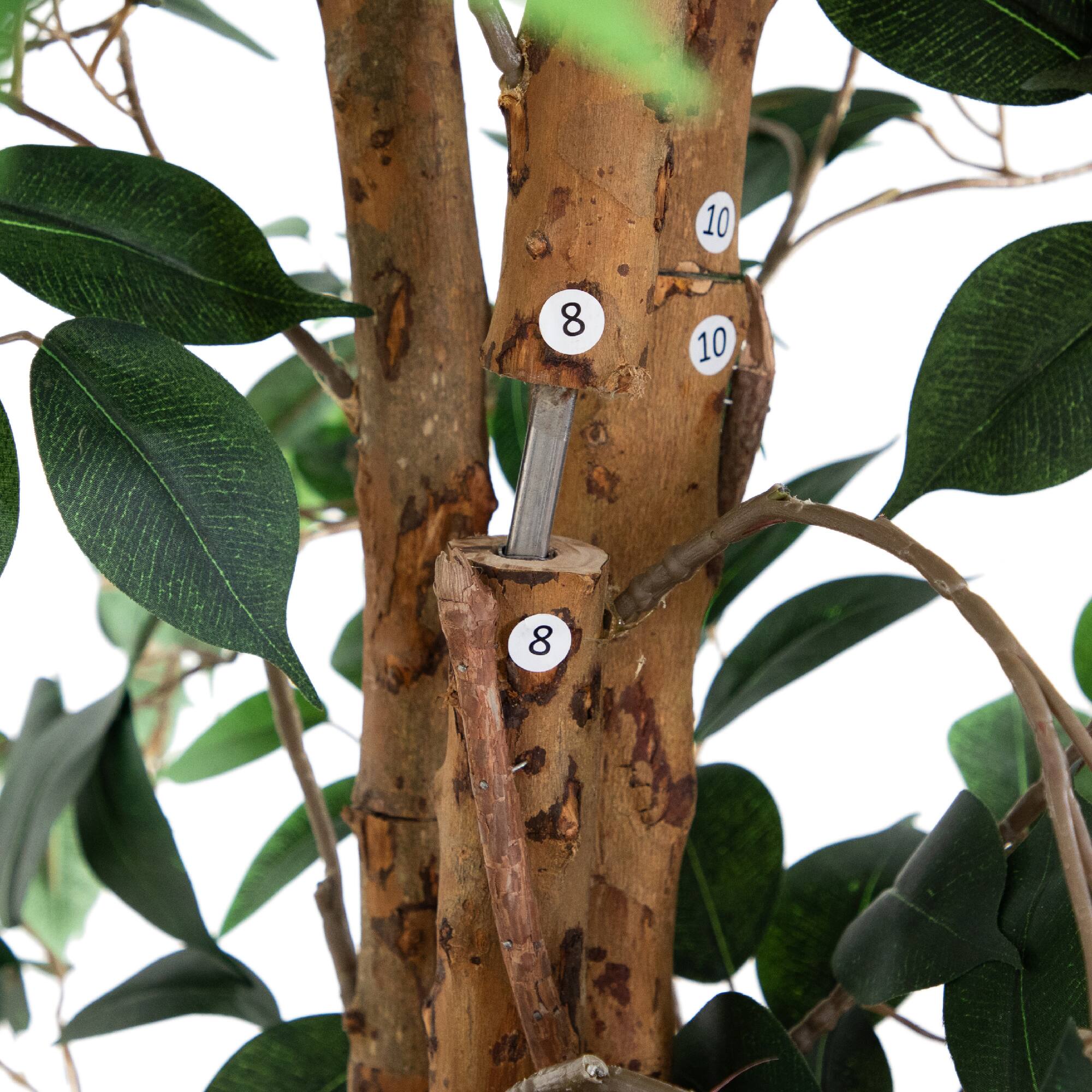 9ft. Potted Ficus Tree